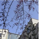  | SEIZANKYO Exterior photo 20