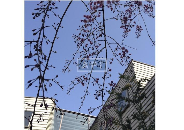  | SEIZANKYO Exterior photo 20