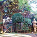  | MAPLE SQUARE GOTENYAMA RED Exterior photo 03