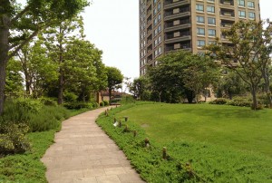 Open Space
