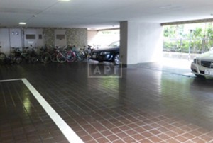 Car Parking