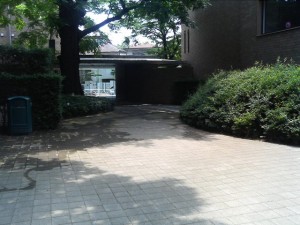 Court Yard