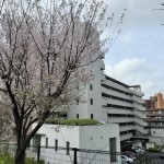  | CLASSA MEGURO Exterior photo 15