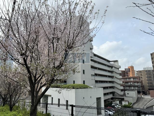  | CLASSA MEGURO Exterior photo 15