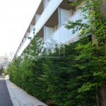  | COMFORIA MEGURO-AOBADAI Exterior photo 07