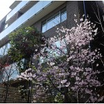  | DAIKANYAMA SAKURA NO OKA Exterior photo 03