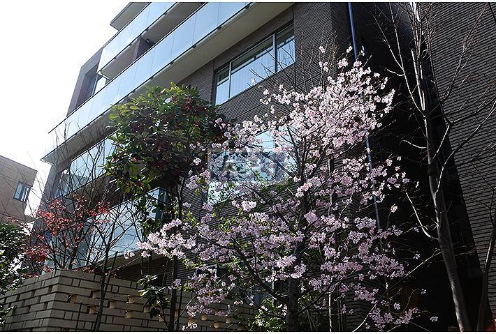 | DAIKANYAMA SAKURA NO OKA Exterior photo 03