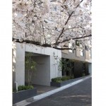  | GROVE PLACE ROPPONGI NAGASAKA Exterior photo 02