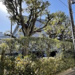  | GRACE MINAMI-AZABU Exterior photo 03