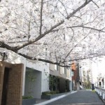  | RISE ROPPONGI-NAGASAKA Exterior photo 04