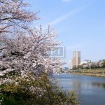  | PROUD TOWER CHIYODA-FUJIMI RESIDENCE Exterior photo 05