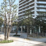  | COSMO POLIS SHINAGAWA Exterior photo 02