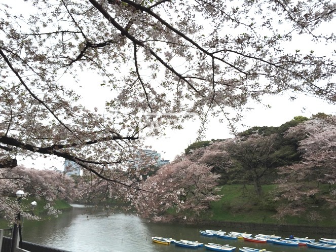  | THE PARKHOUSE GRAN CHIDORIGAFUCHI Exterior photo 16