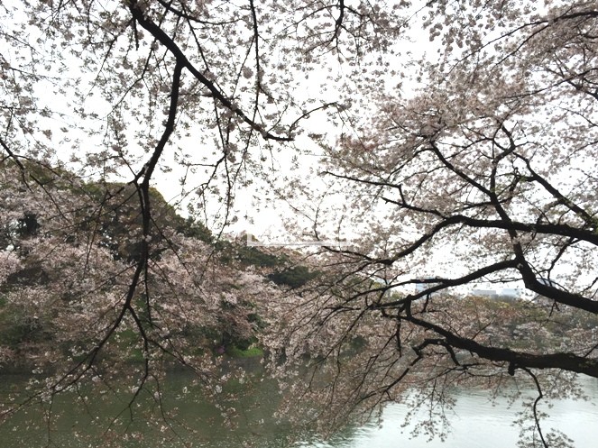  | THE PARKHOUSE GRAN CHIDORIGAFUCHI Exterior photo 15