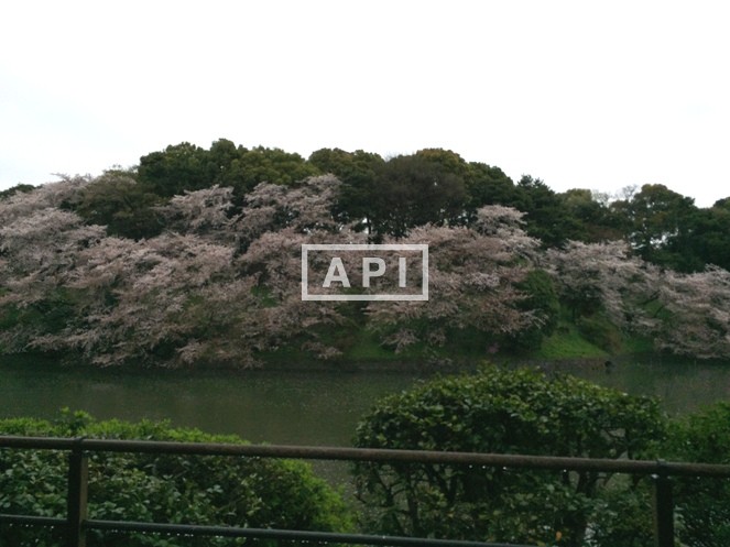  | THE PARKHOUSE GRAN CHIDORIGAFUCHI Exterior photo 14