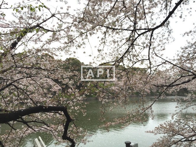  | THE PARKHOUSE GRAN CHIDORIGAFUCHI Exterior photo 12