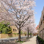  | MOTOAZABU HILLS FOREST TERRACE EAST Exterior photo 05