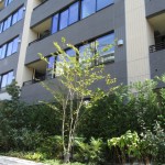  | PARK HOMES YOTSUYA SANCHOME Exterior photo 02