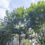  | ROMULUS COURT HATAGAYA Exterior photo 07