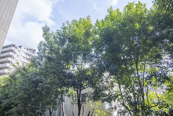  | ROMULUS COURT HATAGAYA Exterior photo 07