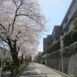  | ASAHI EMBLEM YAGUMODAI Exterior photo 02