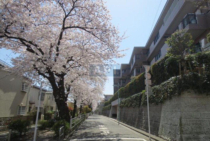  | ASAHI EMBLEM YAGUMODAI Exterior photo 02