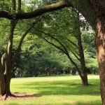  | LUCLASS MEGURO Exterior photo 05