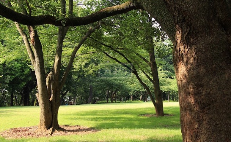  | LUCLASS MEGURO Exterior photo 05