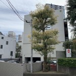  | SHIROKANE-SANKO ANCRE Exterior photo 04