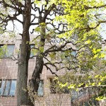  | VOTANIA MEGURO Exterior photo 03