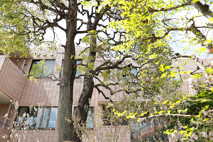  | VOTANIA MEGURO Exterior photo 03