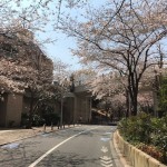  | ROPPONGI HILLS RESIDENCE #B Exterior photo 07