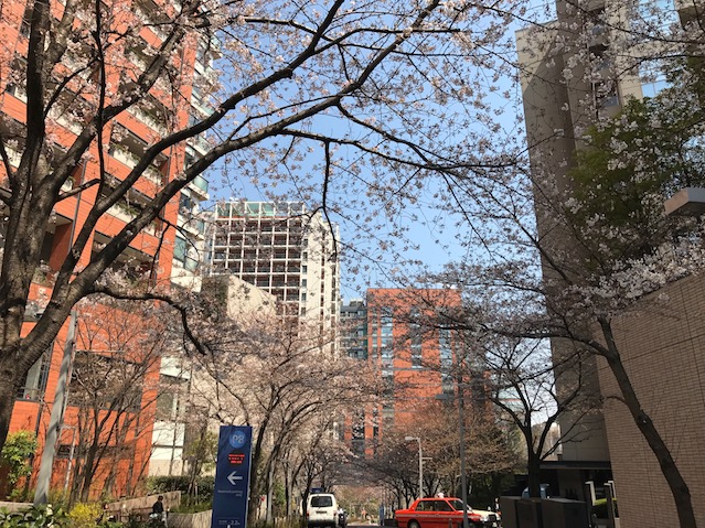  | ROPPONGI HILLS RESIDENCE #B Exterior photo 05