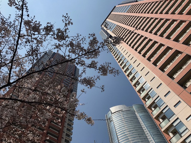  | ROPPONGI HILLS RESIDENCE #B Exterior photo 03